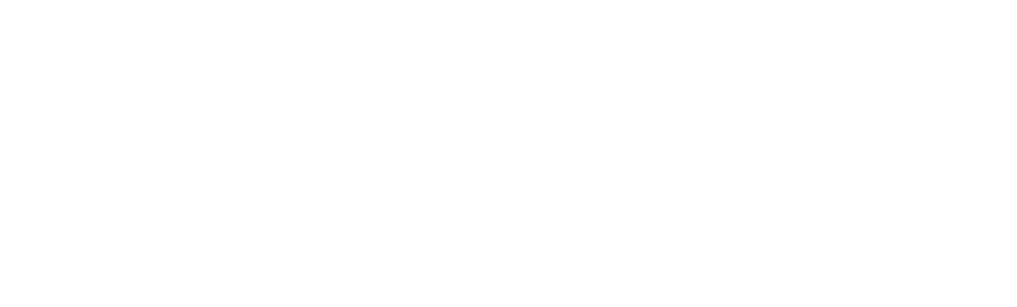 DoMo 大谋数字技术